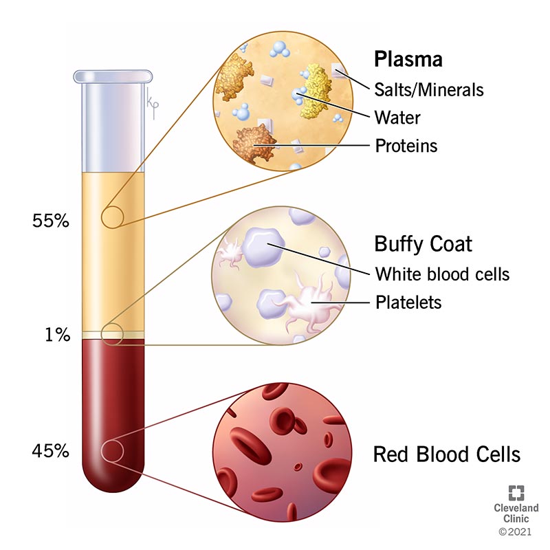 22865 plasma