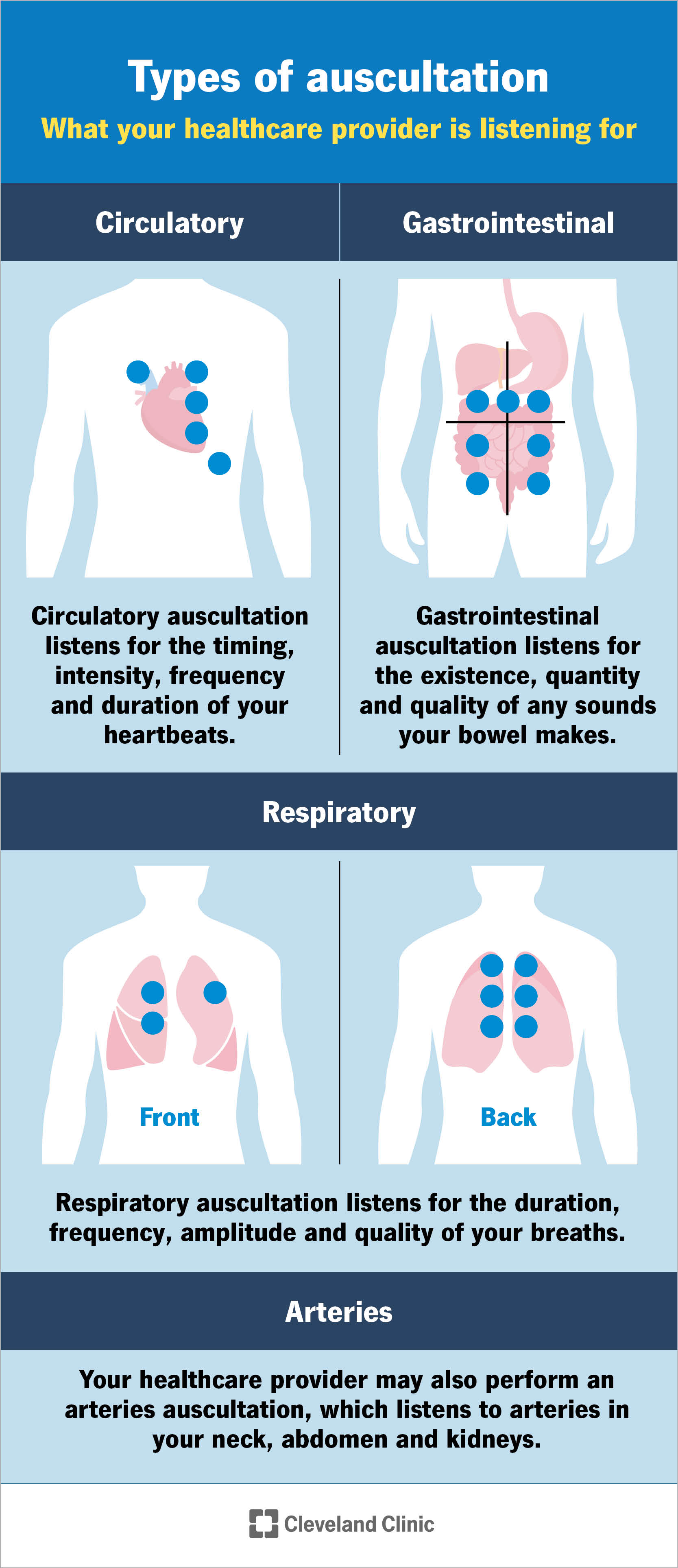 L'auscultazione ascolta i tuoi sistemi circolatorio, gastrointestinale e respiratorio, nonché le tue arterie.