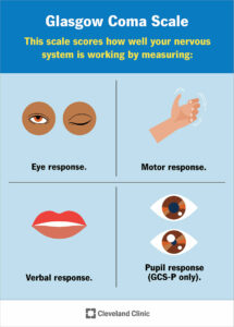 24848 glasgow coma scale