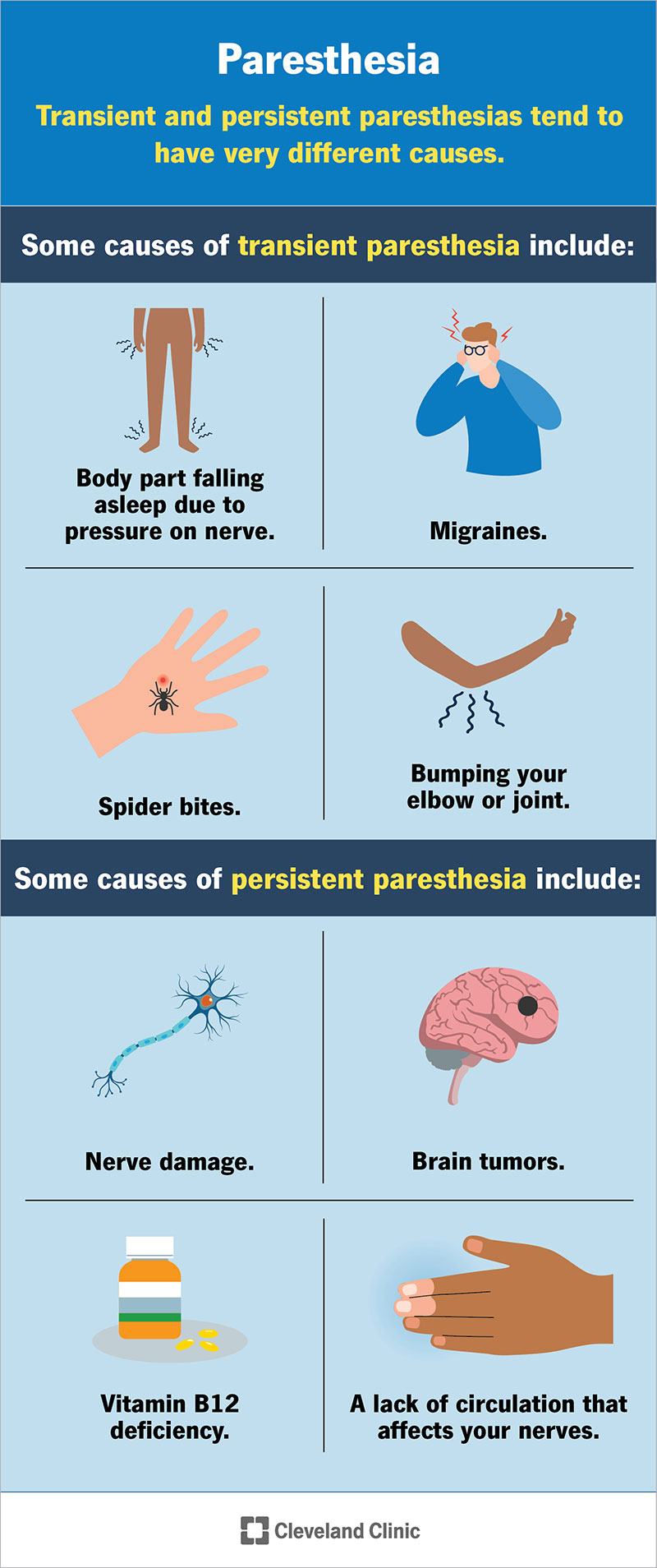 La parestesia può essere transitoria e di breve durata oppure persistente e di lunga durata.  Le cause persistenti sono generalmente più gravi.