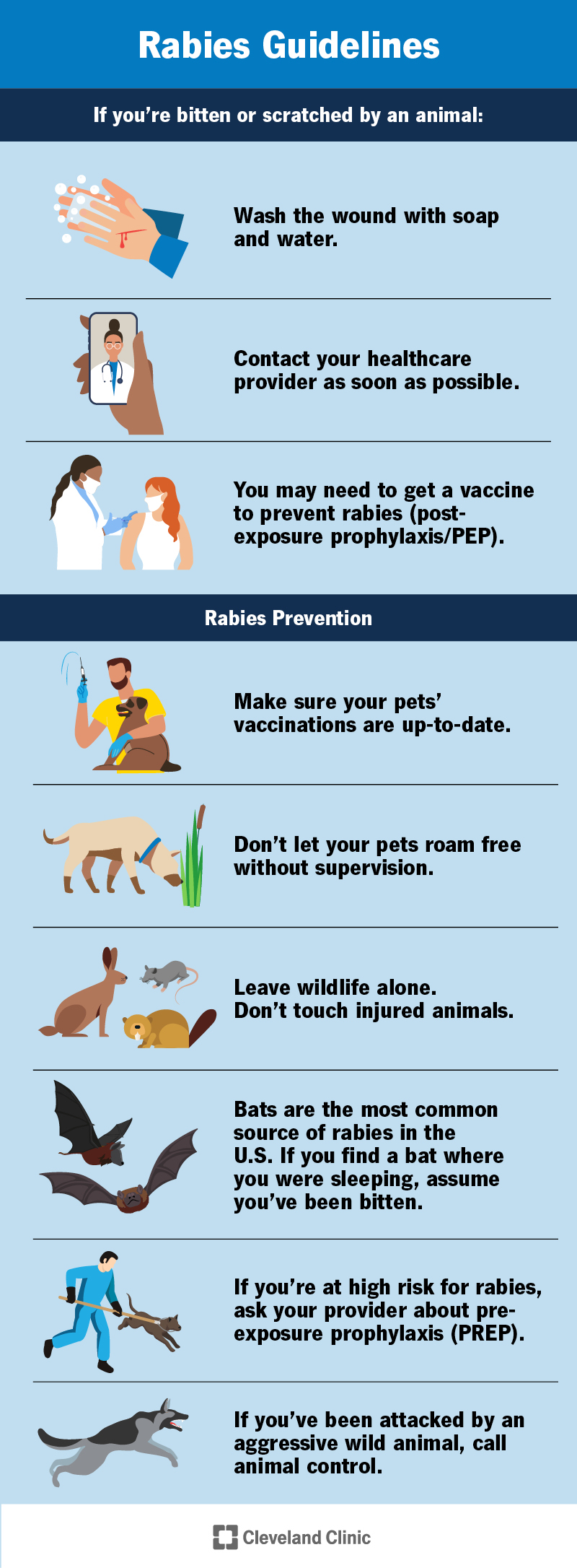 Suggerimenti per la prevenzione della rabbia.  Pulisci tutte le ferite.  Chiedi al tuo fornitore se hai bisogno di un vaccino antirabbico.  Lascia stare la fauna selvatica.  Vaccinare gli animali domestici.