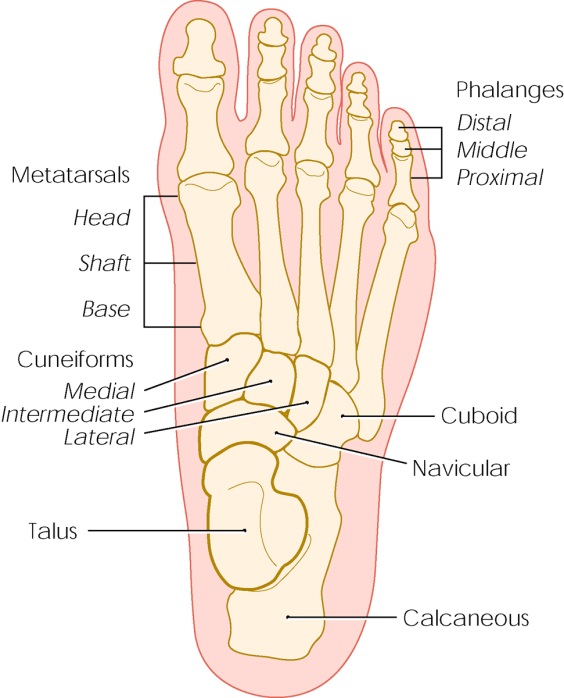 15841 stress fractures