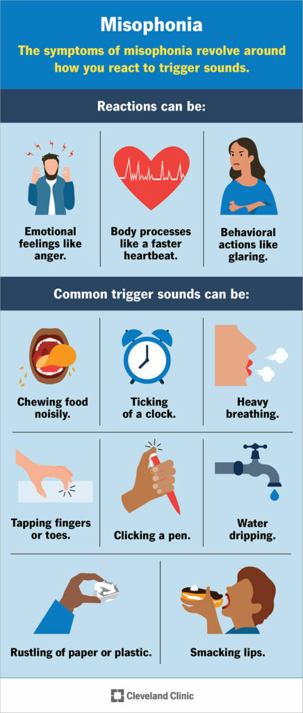 24460 misophonia