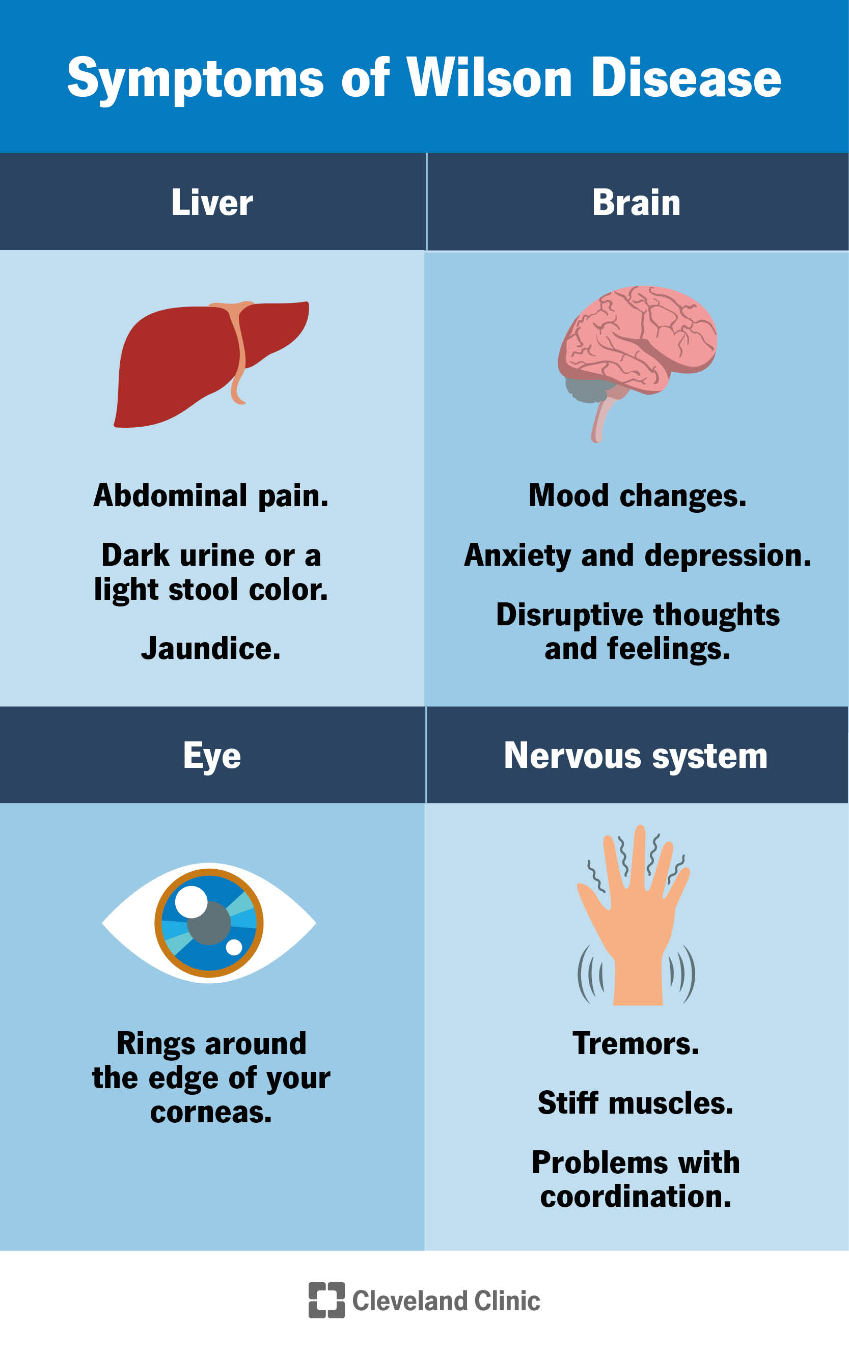 I sintomi della malattia di Wilson colpiscono il fegato, il cervello, gli occhi e il sistema nervoso.