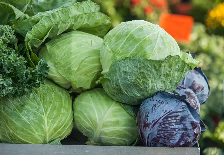 Benefits Of Cabbage 589153824 770x533 1 jpg