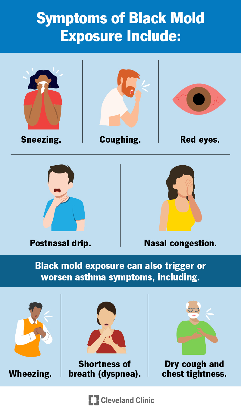 I sintomi della muffa nera includono starnuti, tosse e irritazione agli occhi.  Può anche influenzare la gravità dei sintomi dell’asma.
