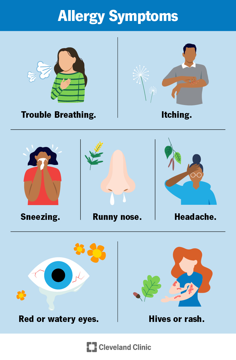 Le allergie possono causare diversi sintomi, tra cui starnuti, prurito, lacrimazione o difficoltà respiratorie.