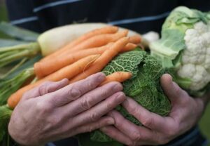 senior holding vegetables 74951557 jpg