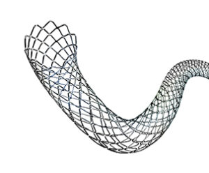 endotex carotid stent 303.ashx