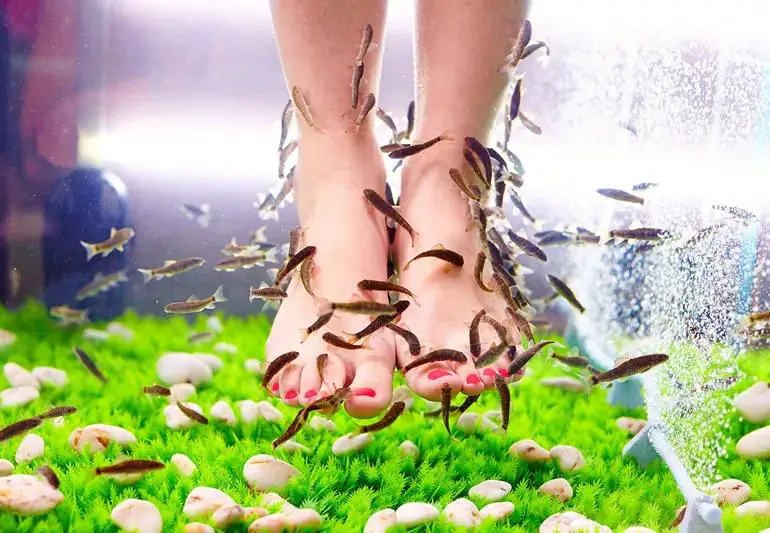 fish Pedicure 179003793 770x533 1 jpg