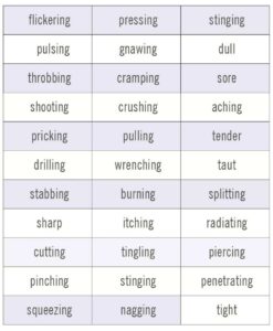 painWords table1 800x970 1 jpg