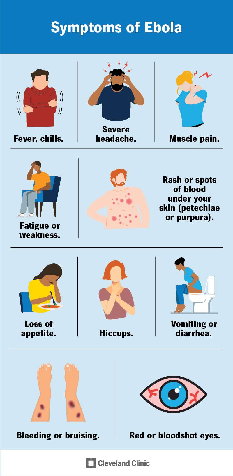 I sintomi dell'Ebola includono febbre, mal di testa, dolori muscolari, affaticamento, eruzioni cutanee, vomito, diarrea, sanguinamento e altro ancora.