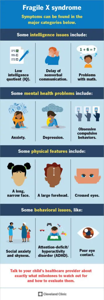 fragile x syndrome