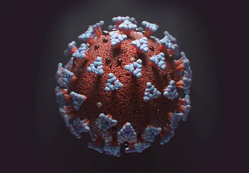 1726767915 21214 coronavirus covid 19