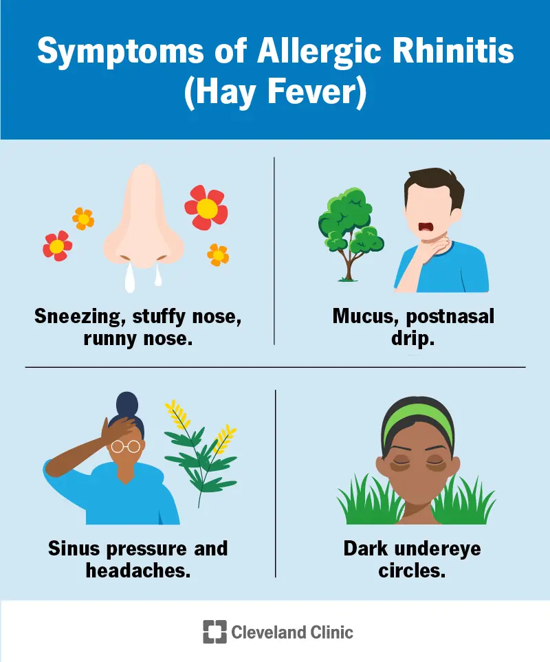 1726953617 8622 allergic rhinitis hay fever