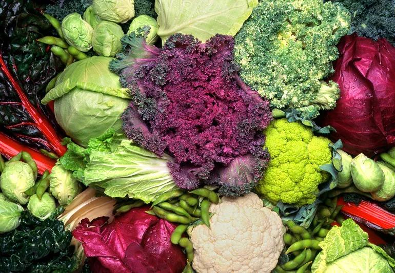 Un gruppo di verdure crocifere tra cui cavoli, lattuga, cavolfiori e broccoli.