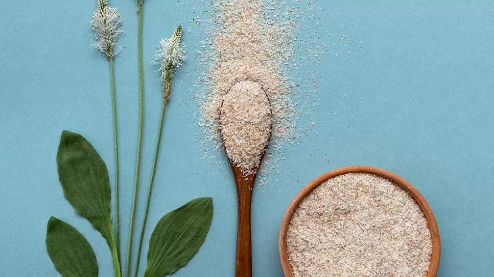 Psyllium Husk 1335445063 967x544 1 jpg