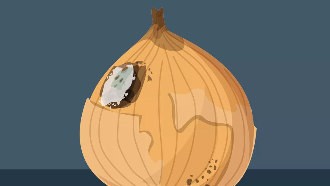 Cosa Succede Se Mangi Accidentalmente Cibo Ammuffito? - SFOMC