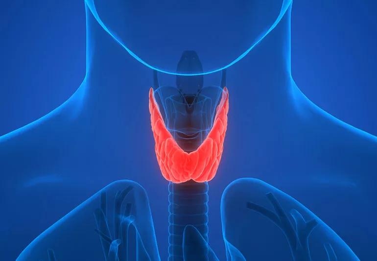 underactiveThyroid 896796592 770x533 1 jpg