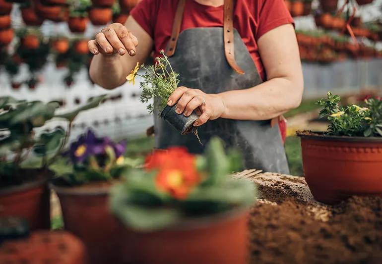 CC HE woman working on flowers jpg