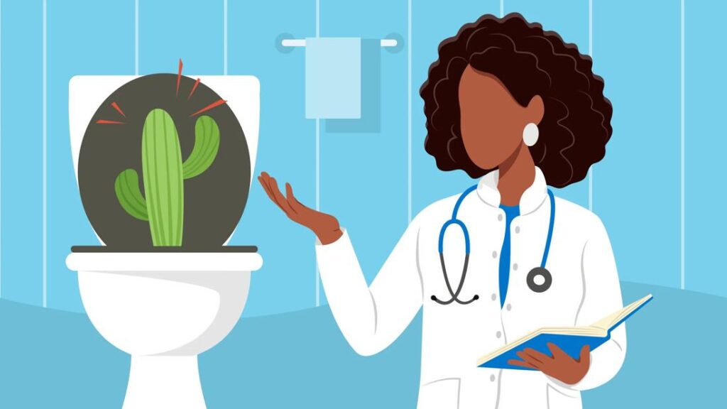 doctor toilet cactus 1476714981